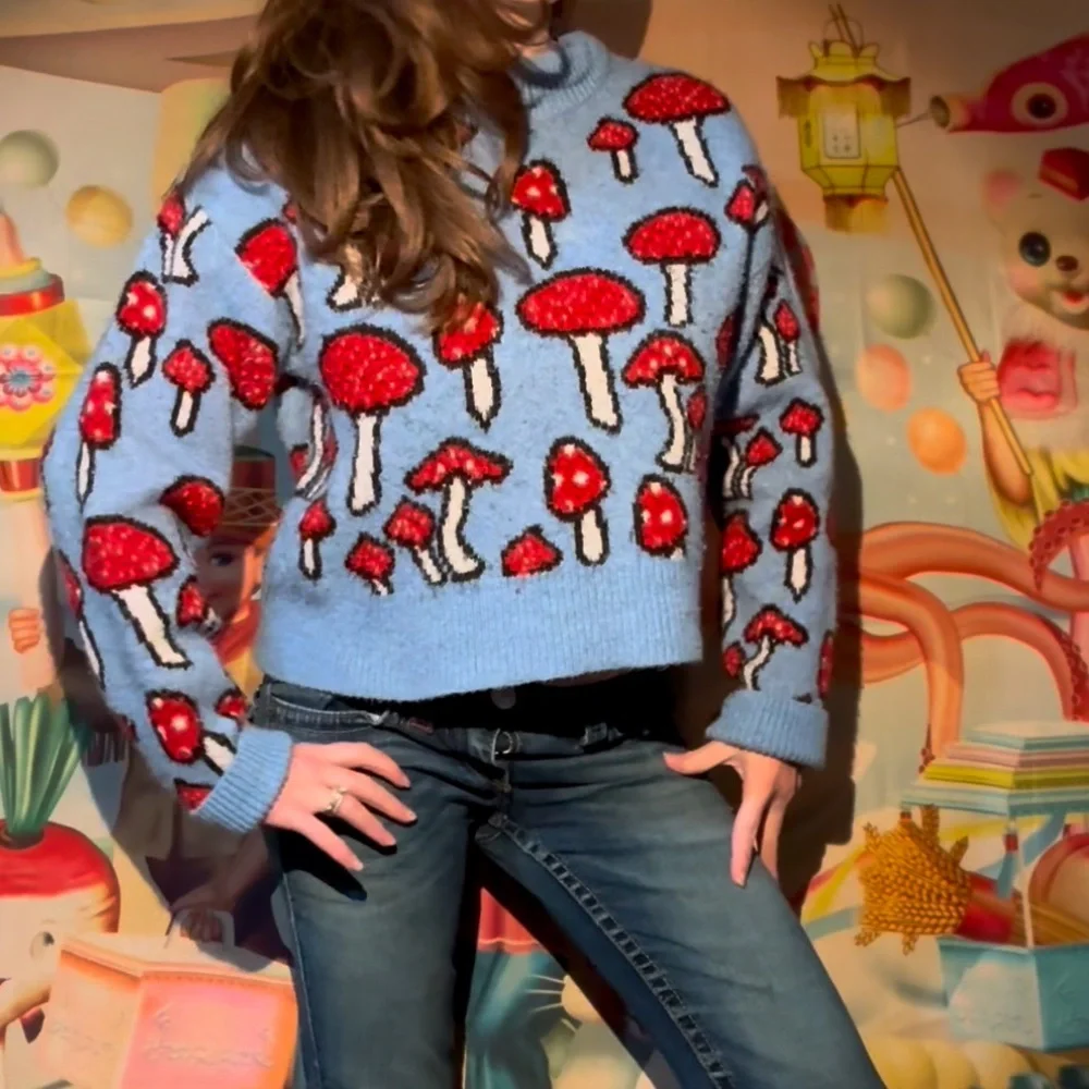 ZARA red and blue mushroom sweater - Picture 6 of 6